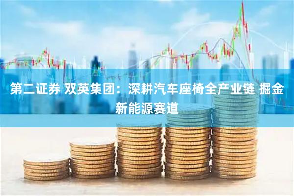 第二证券 双英集团：深耕汽车座椅全产业链 掘金新能源赛道